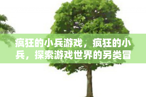 疯狂的小兵游戏，疯狂的小兵，探索游戏世界的另类冒险