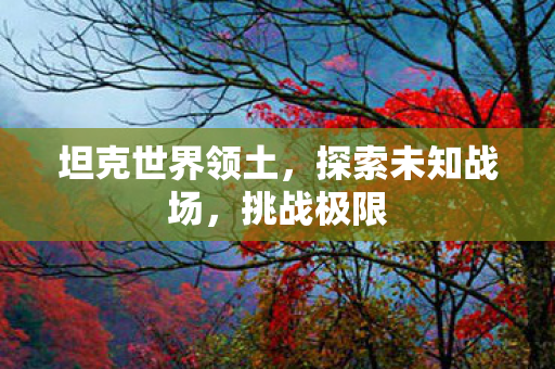 坦克世界领土，探索未知战场，挑战极限