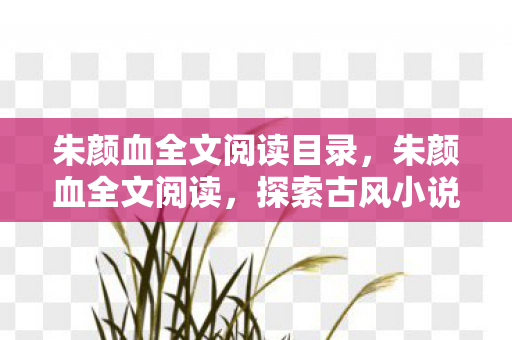 朱颜血全文阅读目录，朱颜血全文阅读，探索古风小说的魅力与深度