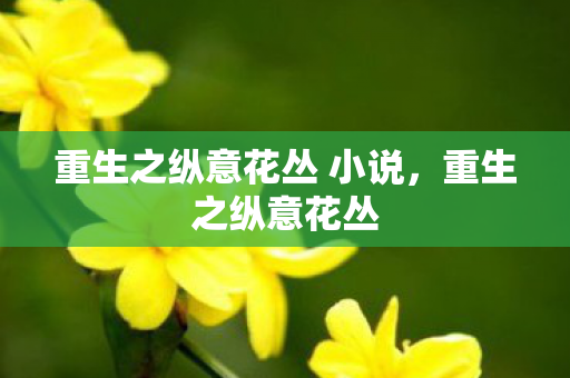 重生之纵意花丛 小说，重生之纵意花丛