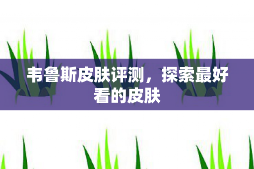 韦鲁斯皮肤评测，探索最好看的皮肤