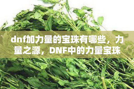 dnf加力量的宝珠有哪些，力量之源，DNF中的力量宝珠解析