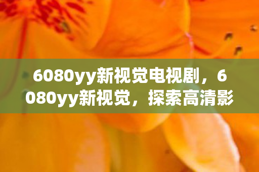 6080yy新视觉电视剧，6080yy新视觉，探索高清影视的无限可能