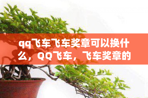 qq飞车飞车奖章可以换什么，QQ飞车，飞车奖章的荣耀与追求