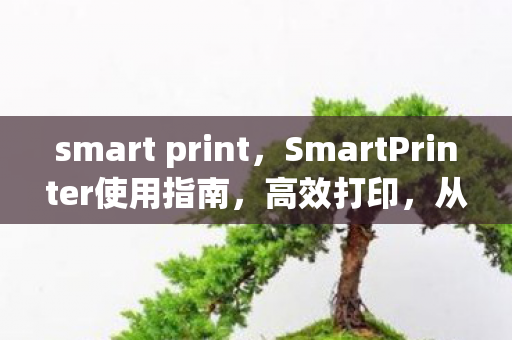 smart print，SmartPrinter使用指南，高效打印，从入门到精通