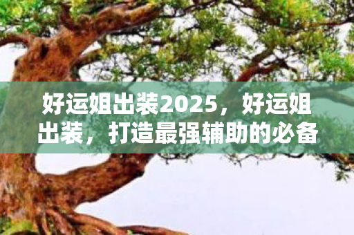 好运姐出装2025，好运姐出装，打造最强辅助的必备装备