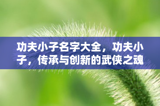 功夫小子名字大全，功夫小子，传承与创新的武侠之魂