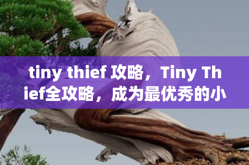 tiny thief 攻略，Tiny Thief全攻略，成为最优秀的小偷！