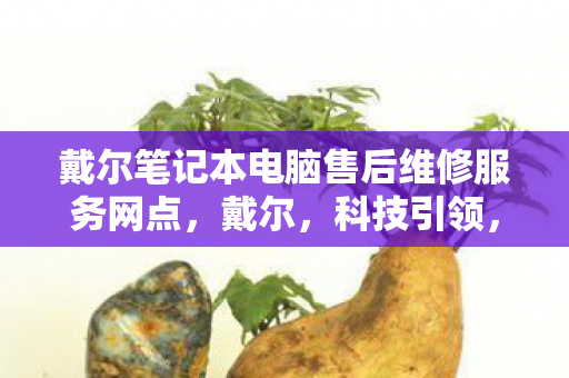 戴尔笔记本电脑售后维修服务网点，戴尔，科技引领，创新不止