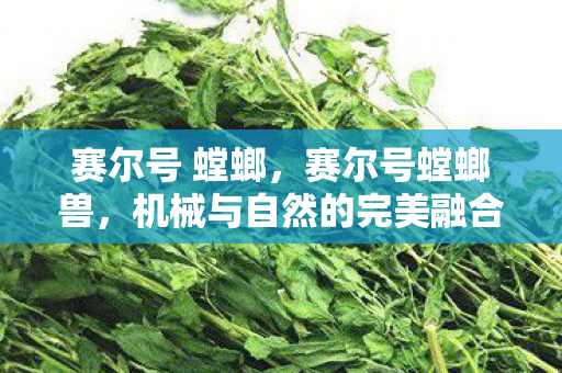 赛尔号 螳螂，赛尔号螳螂兽，机械与自然的完美融合