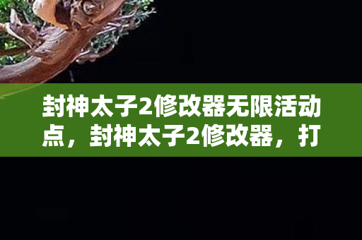 封神太子2修改器无限活动点，封神太子2修改器，打造个性化游戏体验
