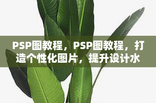 PSP图教程，PSP图教程，打造个性化图片，提升设计水平