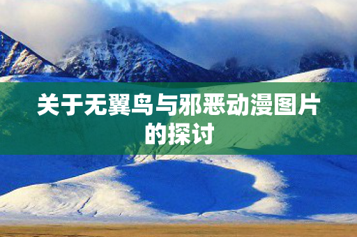 关于无翼鸟与邪恶动漫图片的探讨