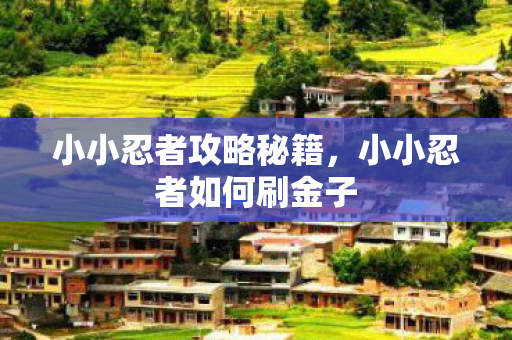 小小忍者攻略秘籍，小小忍者如何刷金子