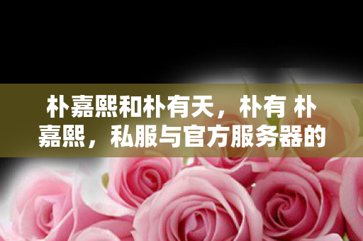 朴嘉熙和朴有天，朴有 朴嘉熙，私服与官方服务器的独特魅力与差异