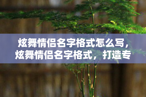 炫舞情侣名字格式怎么写，炫舞情侣名字格式，打造专属浪漫，闪耀舞池