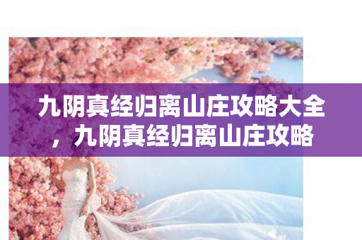 九阴真经归离山庄攻略大全，九阴真经归离山庄攻略