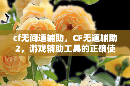 cf无间道辅助，CF无道辅助2，游戏辅助工具的正确使用与合规性探讨