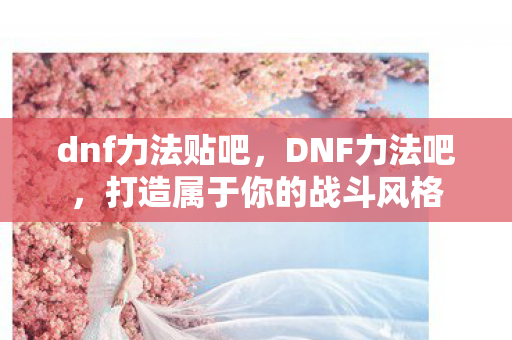 dnf力法贴吧，DNF力法吧，打造属于你的战斗风格