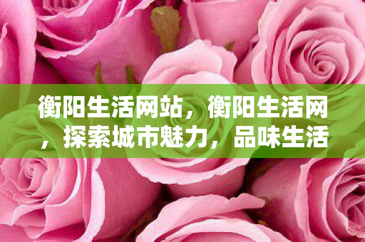 衡阳生活网站，衡阳生活网，探索城市魅力，品味生活百态