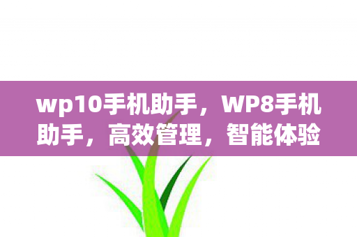 wp10手机助手，WP8手机助手，高效管理，智能体验