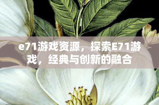 e71游戏资源，探索E71游戏，经典与创新的融合