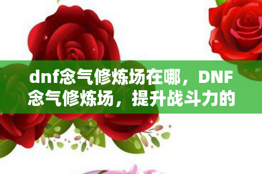 dnf念气修炼场在哪，DNF念气修炼场，提升战斗力的神秘之地