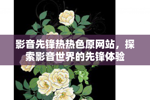 影音先锋热热色原网站,探索影音世界的先锋体验 影音先锋热热色原网站,探索影音世界的先锋体验