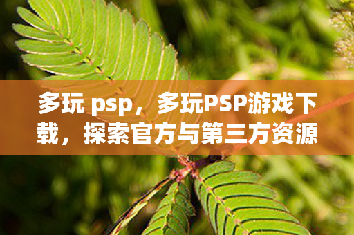 多玩 psp，多玩PSP游戏下载，探索官方与第三方资源，打造完美游戏体验