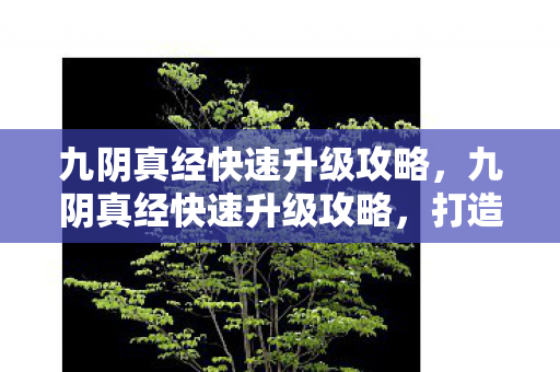 九阴真经快速升级攻略，九阴真经快速升级攻略，打造高效角色成长之路