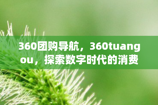 360团购导航，360tuangou，探索数字时代的消费新生态