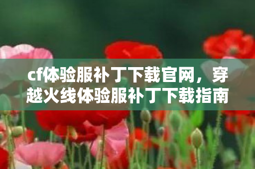 cf体验服补丁下载官网，穿越火线体验服补丁下载指南