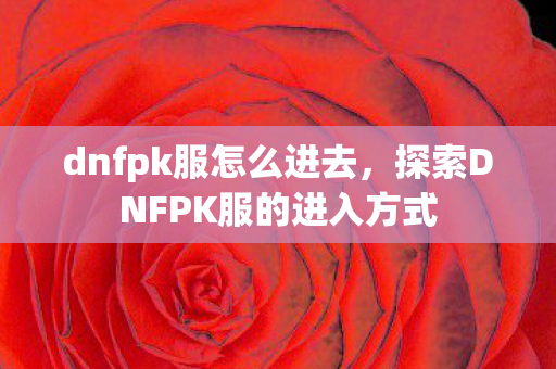 dnfpk服怎么进去，探索DNFPK服的进入方式