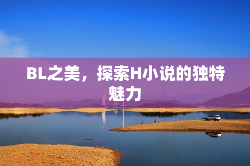 BL之美，探索H小说的独特魅力