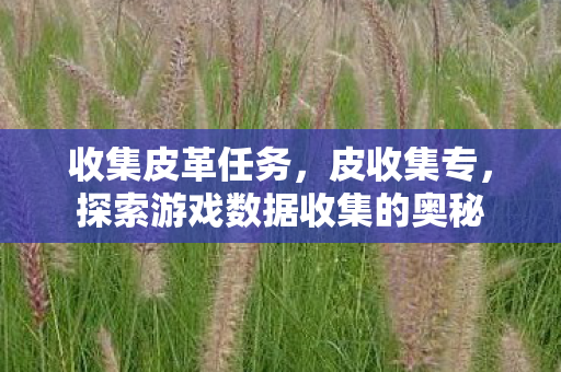 收集皮革任务，皮收集专，探索游戏数据收集的奥秘