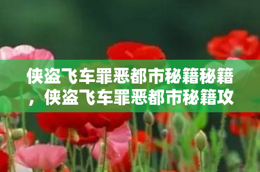 侠盗飞车罪恶都市秘籍秘籍，侠盗飞车罪恶都市秘籍攻略