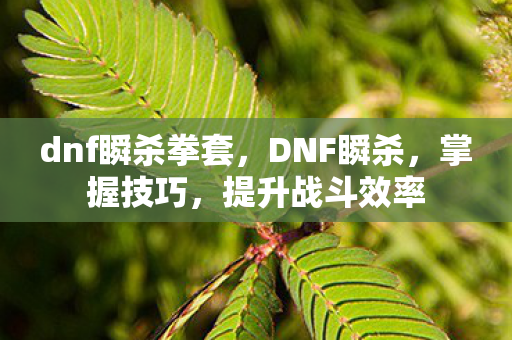 dnf瞬杀拳套，DNF瞬杀，掌握技巧，提升战斗效率