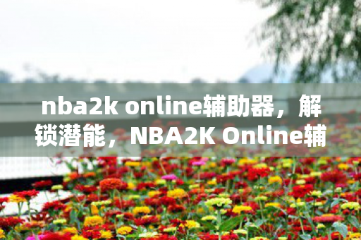 nba2k online辅助器，解锁潜能，NBA2K Online辅助的奥秘