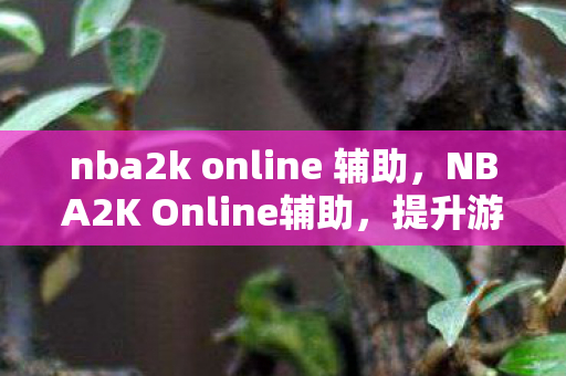 nba2k online 辅助，NBA2K Online辅助，提升游戏体验的合法工具