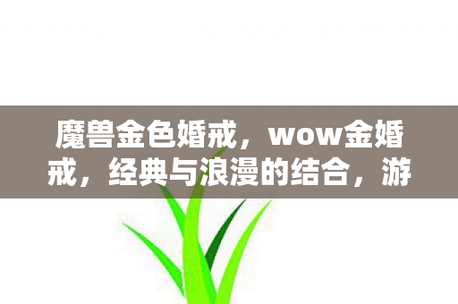 魔兽金色婚戒，wow金婚戒，经典与浪漫的结合，游戏中的永恒誓言