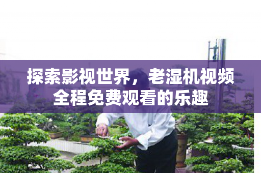 探索影视世界，老湿机视频全程免费观看的乐趣