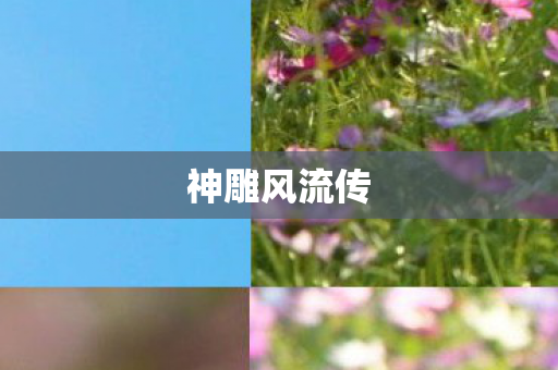 神雕风流传