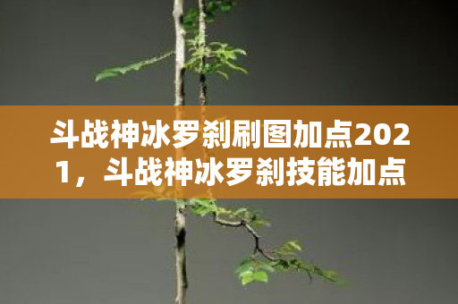 斗战神冰罗刹刷图加点2021，斗战神冰罗刹技能加点攻略