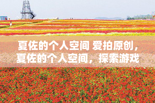 夏佐的个人空间 爱拍原创，夏佐的个人空间，探索游戏世界的无限可能