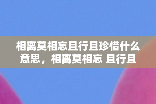 相离莫相忘且行且珍惜什么意思，相离莫相忘 且行且珍惜