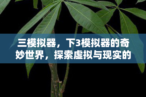 三模拟器，下3模拟器的奇妙世界，探索虚拟与现实的桥梁