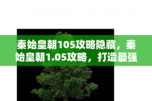 秦始皇朝105攻略隐藏，秦始皇朝1.05攻略，打造最强帝国的全面指南