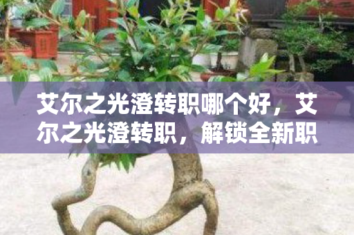 艾尔之光澄转职哪个好，艾尔之光澄转职，解锁全新职业，挑战无限可能