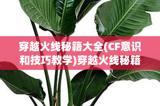 穿越火线秘籍大全(CF意识和技巧教学)穿越火线秘籍，提升游戏技巧与战术策略的全面指南
