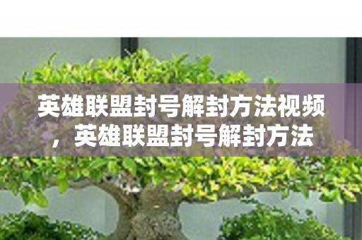 英雄联盟封号解封方法视频，英雄联盟封号解封方法